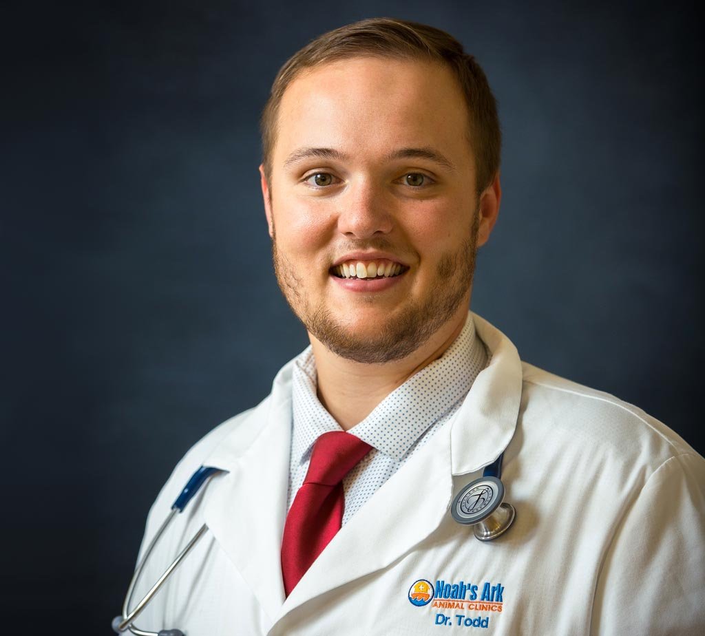 Dr_Andrew_Todd_web