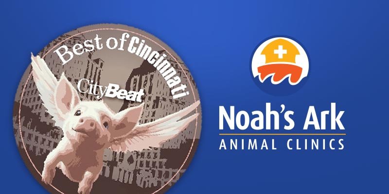 Award-Winning Veterinary Care