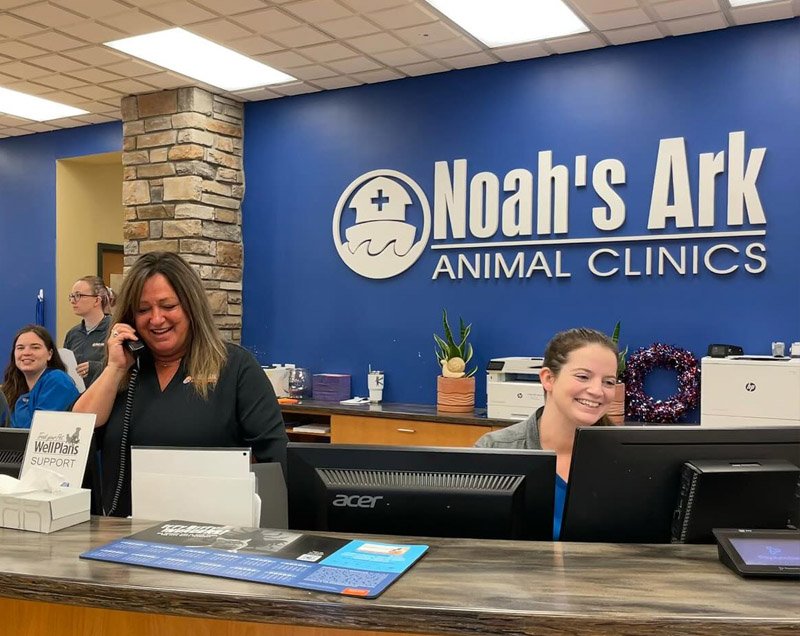 Comprehensive Veterinary Services